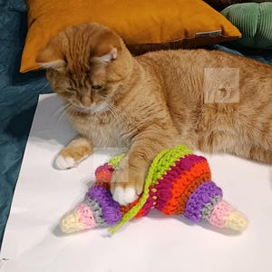 May include: A ginger cat with white paws interacts with a colorful, crocheted toy. The toy features a cone shape with a green top, transitioning to vibrant shades of pink, orange, purple, and yellow. The cat is lying on a white surface.