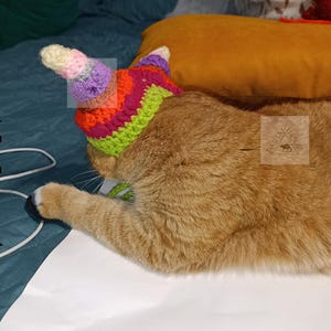 May include: A ginger cat wearing a colorful, crocheted unicorn horn hat. The hat features a green brim, with stripes of orange, pink, purple, and yellow. The cat is lying on a white surface, with a blue and yellow background.