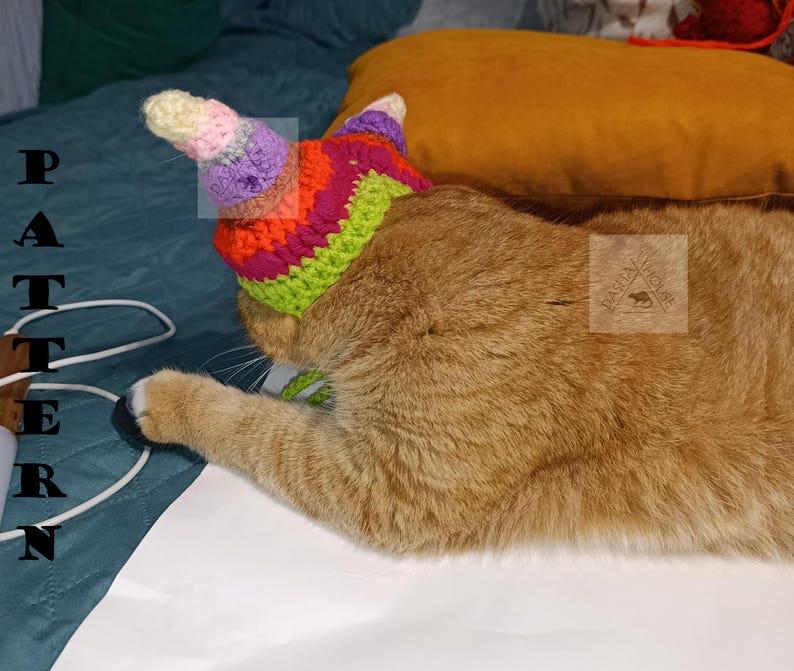 May include: A ginger cat wearing a colorful, crocheted unicorn horn hat. The hat features a green brim, with stripes of orange, pink, purple, and yellow. The cat is lying on a white surface, with a blue and yellow background.