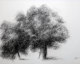 Dibujo a carboncillo sobre papel, Árboles de Lionel le Jeune, Obra única, decoración gráfica de la naturaleza para colección de arte.