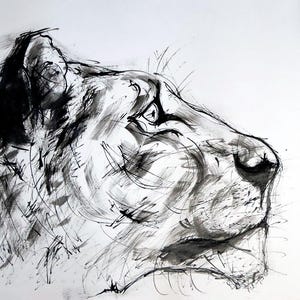 Peut inclure: Dessin à l'encre noir et blanc d'une tête de lion de profil. L'œuvre présente des coups de pinceau expressifs et met l'accent sur les traits de l'animal, notamment l'œil, le nez et l'oreille. Le style est lâche et dynamique, avec une sensation de mouvement.
