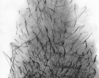 Charcoal drawing on paper - Tree silhouette study by Lionel Le Jeune, unique work, graphic nature decoration for an art collection