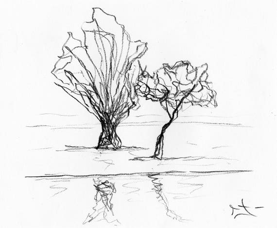 Dessin Fusain Sur Papier Esquisse 19 X 16 Cm Petite Etude Darbre Par Lionel Le Jeune Artiste Coté Oeuvre Unique