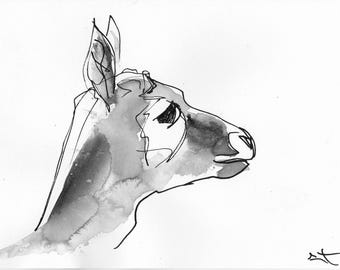 Dessin encre sur papier - Daim par Lionel Le jeune, oeuvre unique