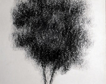 Charcoal drawing on paper, Tree by Lionel le Jeune, Unique work, graphic nature decoration for art collection