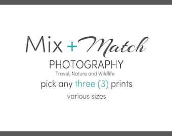 Set of 3 Prints, Mix and Match Photography Prints, Gallery Wall Prints, Various Sizes