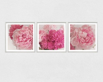 Peony Photo Print, Set of 3 Floral Prints, Pink Flower Wall Art