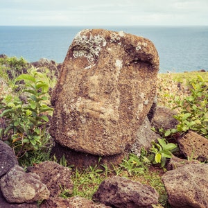 Moyai Moai Easter Island Head Emoji Art Board Print for Sale by donbass