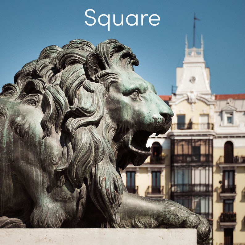 Madrid Photography Print Lion Statue in Madrid Spain Etsy