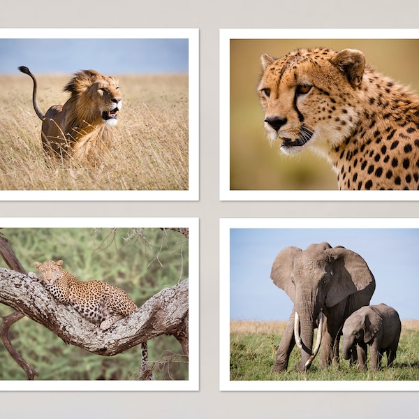 Wildlife Notecards Set of 4, African Animal Prints, Photo Note Cards with Envelopes, Blank Stationery Set