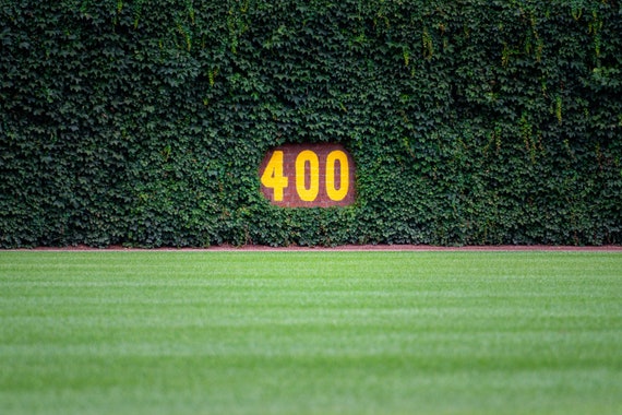 Wrigley Field Photo Print Wrigley Field Ivy Wall Chicago 