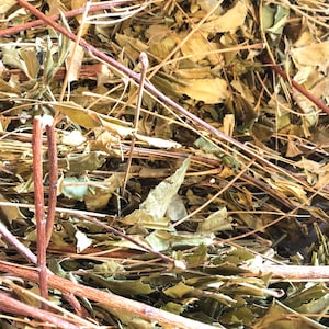 Neem Herb (Jamaican)