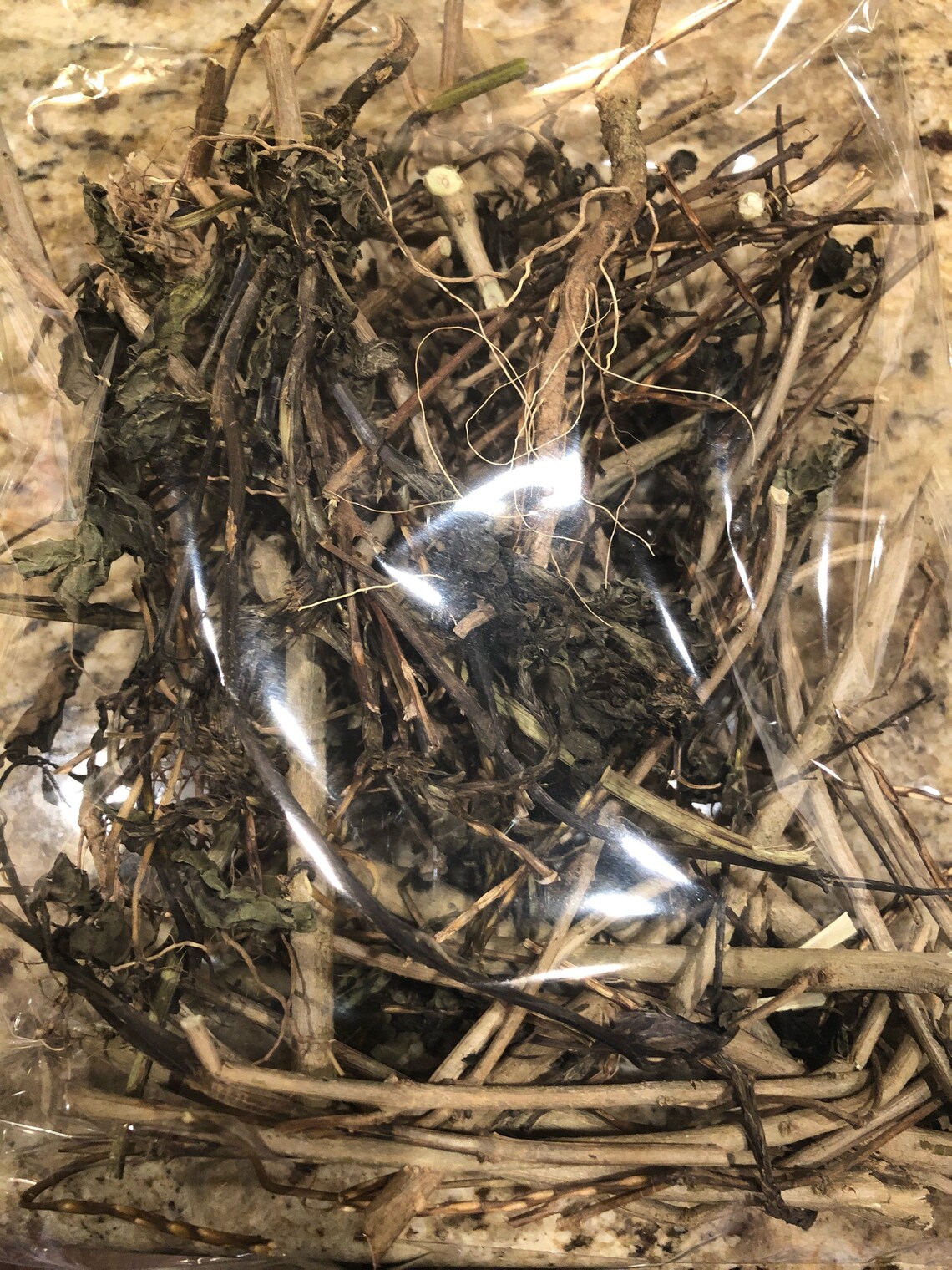 Blue Vervain Tea Etsy