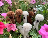 Alpachini in lana di alpaca