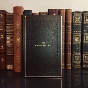 Schönes Vintage-Buch in französischer Sprache von Emile Zola &quot;La Faute de l&#39;Abbé Mouret&quot; aus der Rougon-Macquart-Kollektion, brauner geprägter Umschlag 1990er Ausgabe