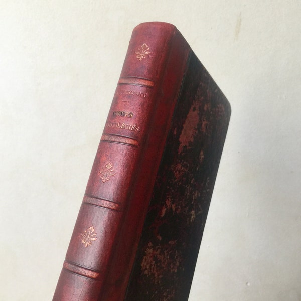 Antique book in French "Coeurs Privilegiés" by Abel Hermant 1903 romantic novel