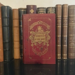 Charmant livre ancien illustré pour enfants « Mémoires d'une année » par la comtesse de Ségur 1922 Bibliothèque Rose Illustrée