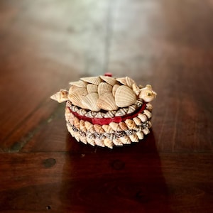 Può includere: Una piccola tartaruga decorativa realizzata interamente con conchiglie. Il guscio della tartaruga è fatto di molti tipi diversi di conchiglie, e il corpo è fatto di una singola conchiglia più grande. La tartaruga è seduta su una superficie di legno.