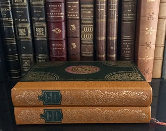 Op de afbeelding: Twee bruine lederen boeken met gouden accenten en sierlijke ontwerpen. De boeken zijn getiteld "Chevalier de Maisonrouge" en zijn volume 1 en 2.
