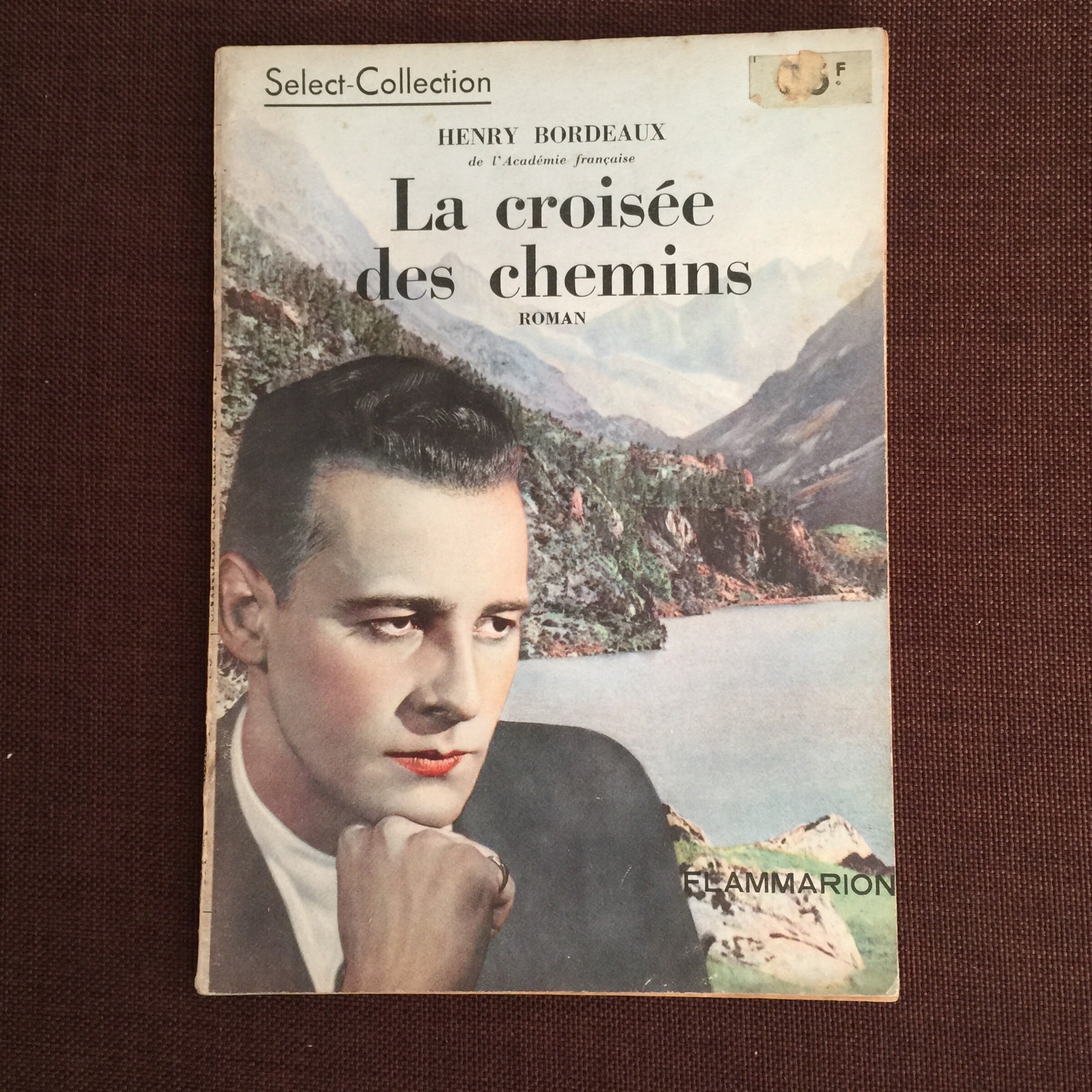 Antique Novel in French 