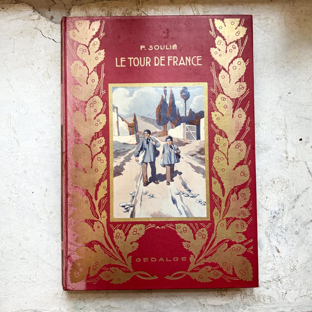 Antique Illustrated Children's Book in French 