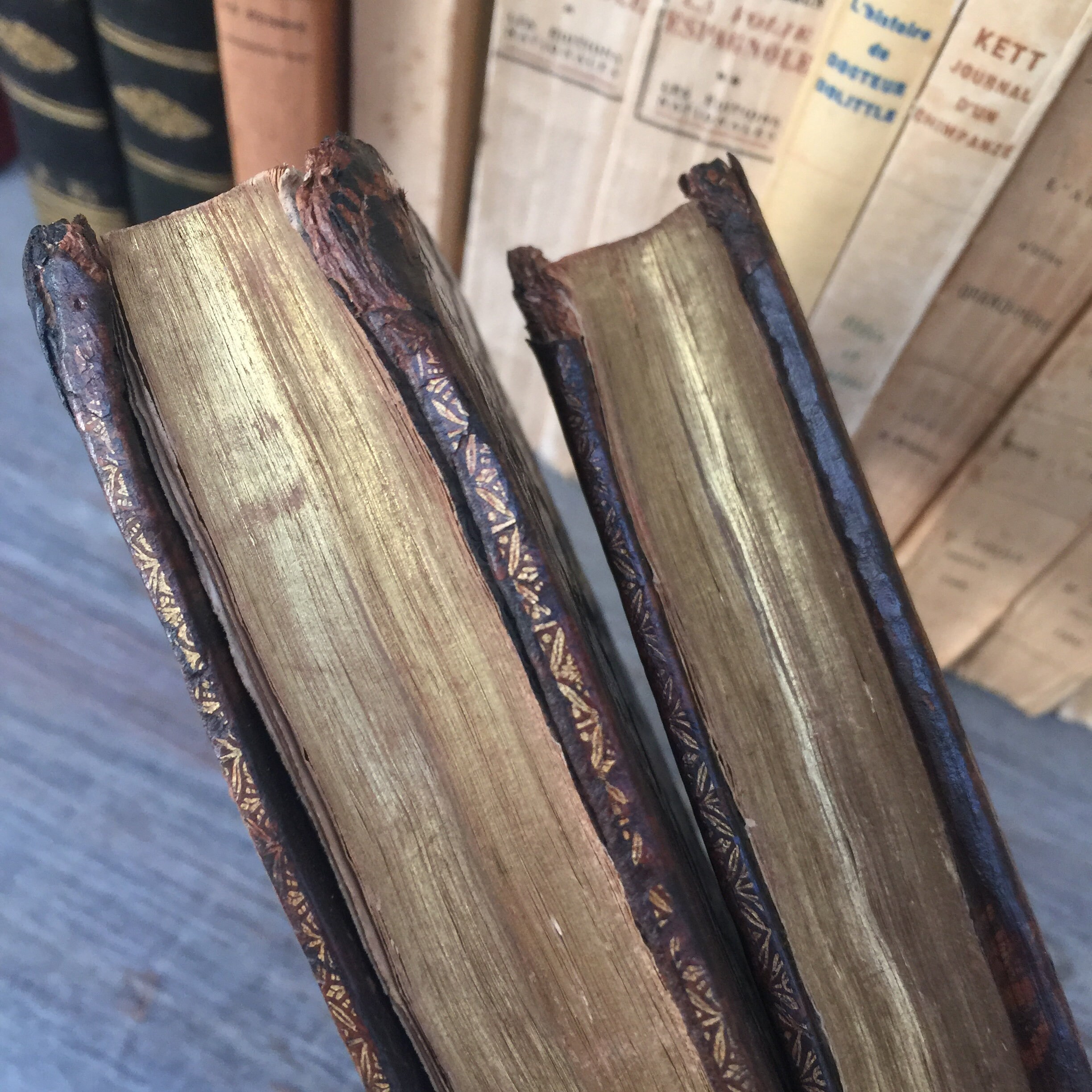 フランス語で書かれた非常に珍しい 1683 年のアンティーク本