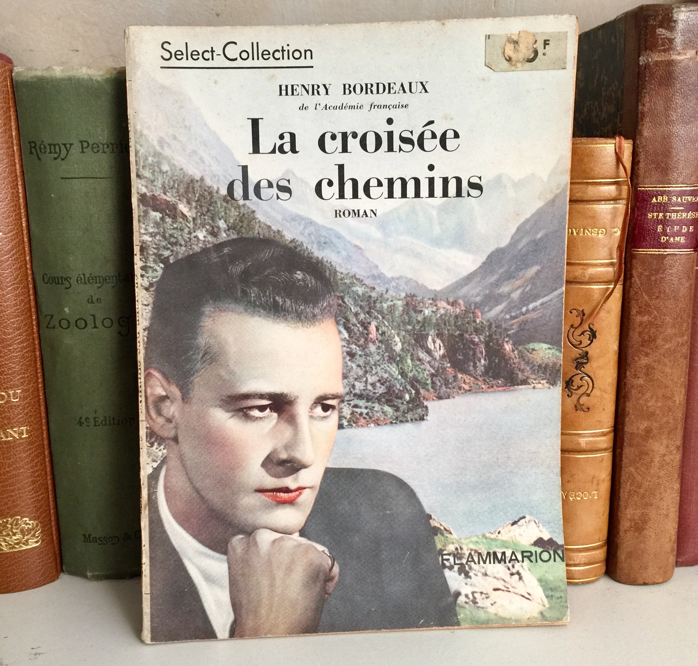 Fusaro: La croisée des chemins Antique Novel in French 