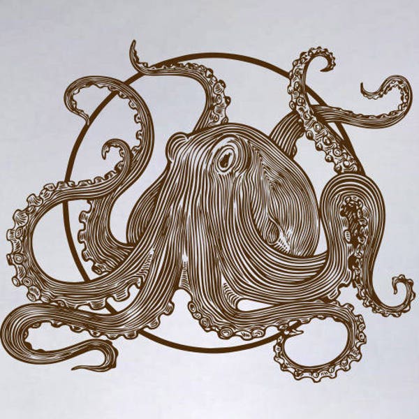 Octopus Wall Decal - Etsy