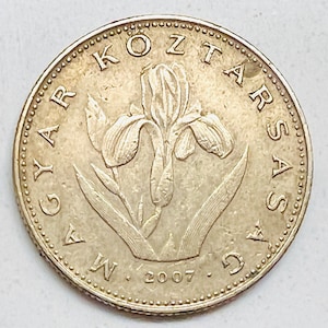 May include: A silver Hungarian coin with a flower design and the text "MAGYAR KOZTARSASAG" and "2007" around the edge.