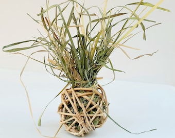 Rabbit Chew and Foraging Vine Ball. Flavored Foraging Toy