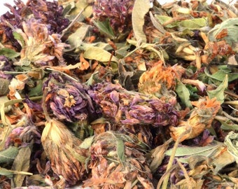 Organic Red Clover Flower Treat: Rabbit, Guinea Pig, Chinchilla