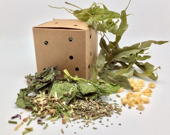 Foraging Willow Leaf Box, rabbit, guinea pig, rat, mouse box of fun. Healthy treat