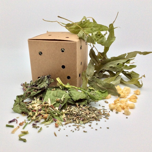 Foraging Willow Leaf Box, rabbit, guinea pig, rat, mouse box of fun. Healthy treat