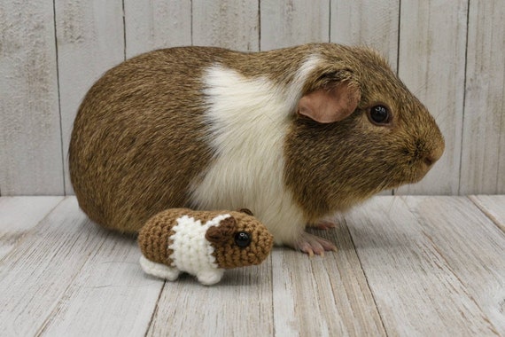 Custom Baby Guinea Pig Memorial Plush Etsy