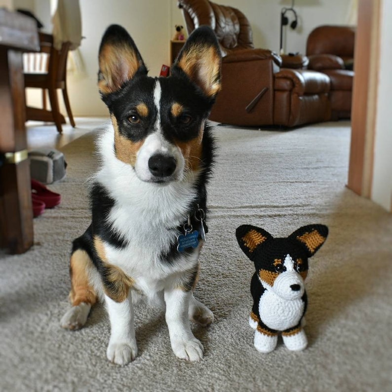 corgi stuffed animal