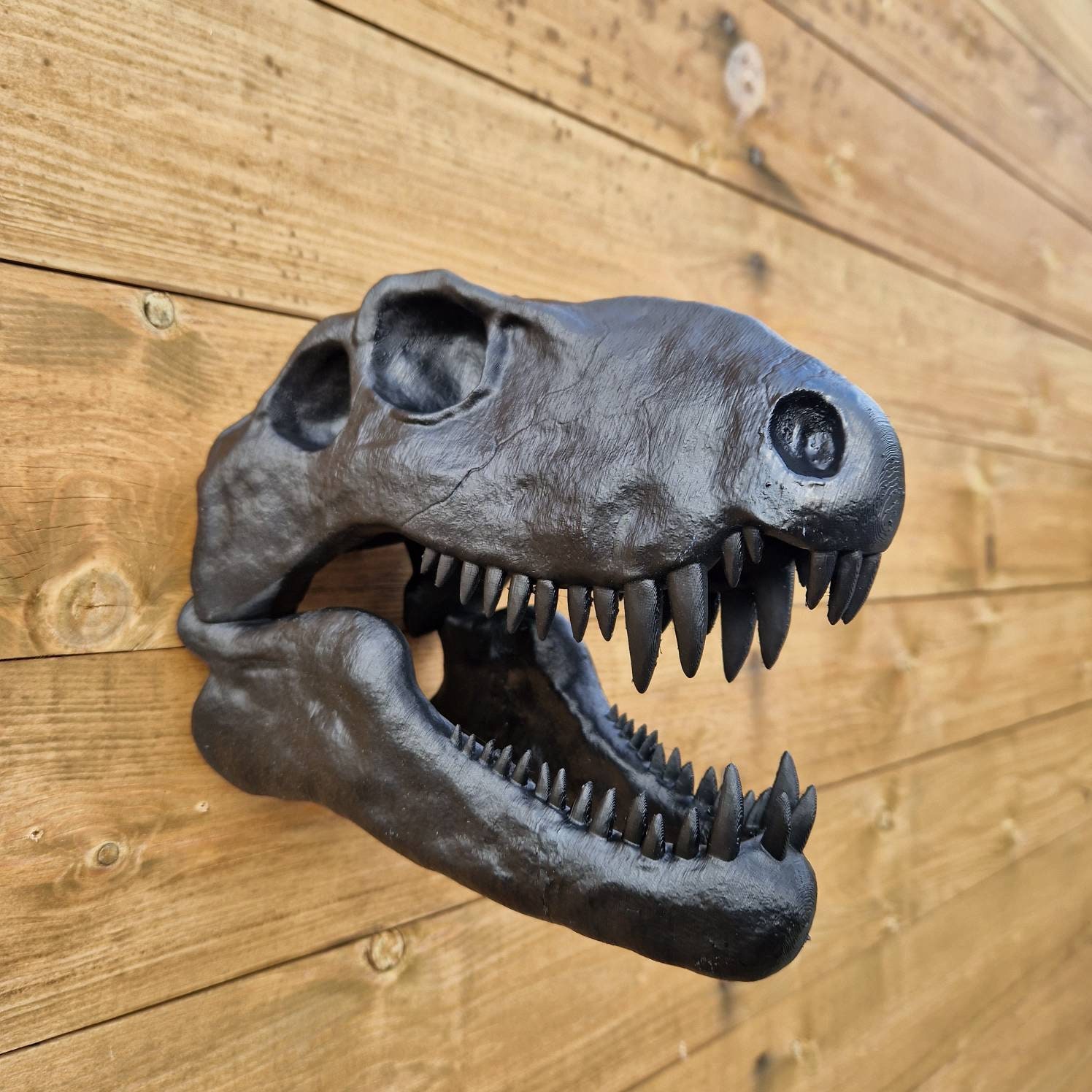 Dimetrodon Skull Art - Dinosaur Wall Mount - 3D Printed - Etsy