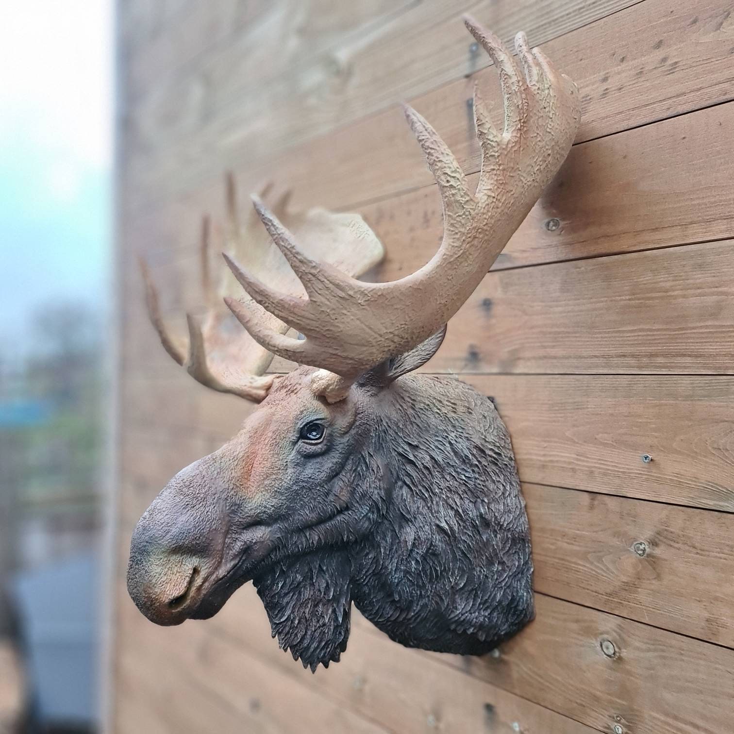 Moose Head Wall Art - Airbrushed and Hand Painted - Animal - Wall