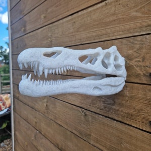 Irritator skull Wall Art - Dinosaur - Wall Mount- 3D Printed - Multiple Colours Available