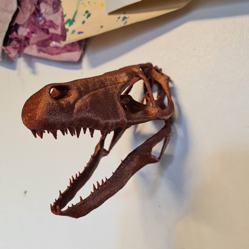 May include: A 3D printed dinosaur skull model in a reddish-brown color. The skull is open-mouthed with visible teeth and a detailed skeletal structure.