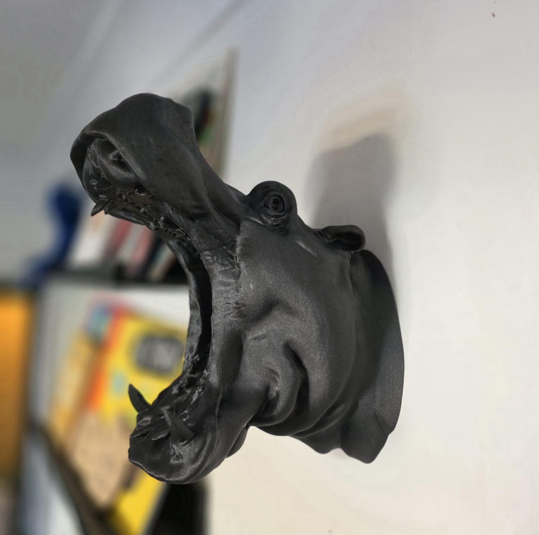 Hippo Wall Art main image 1