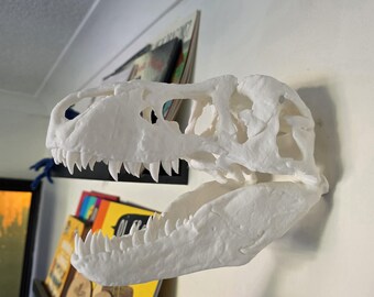 il_340x270.6720927713_l8zm.jpg