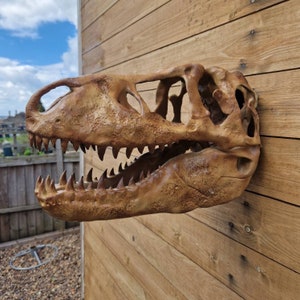 Tyrannosaurus Rex skull Art - airbrush - Custom - T-rex - Dinosaur - Wall Mount or stand- 3D Printed - Multiple Colours Available