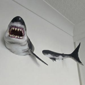Art mural tête et queue de grand requin blanc - Support peint à la main - Imprimé en 3D