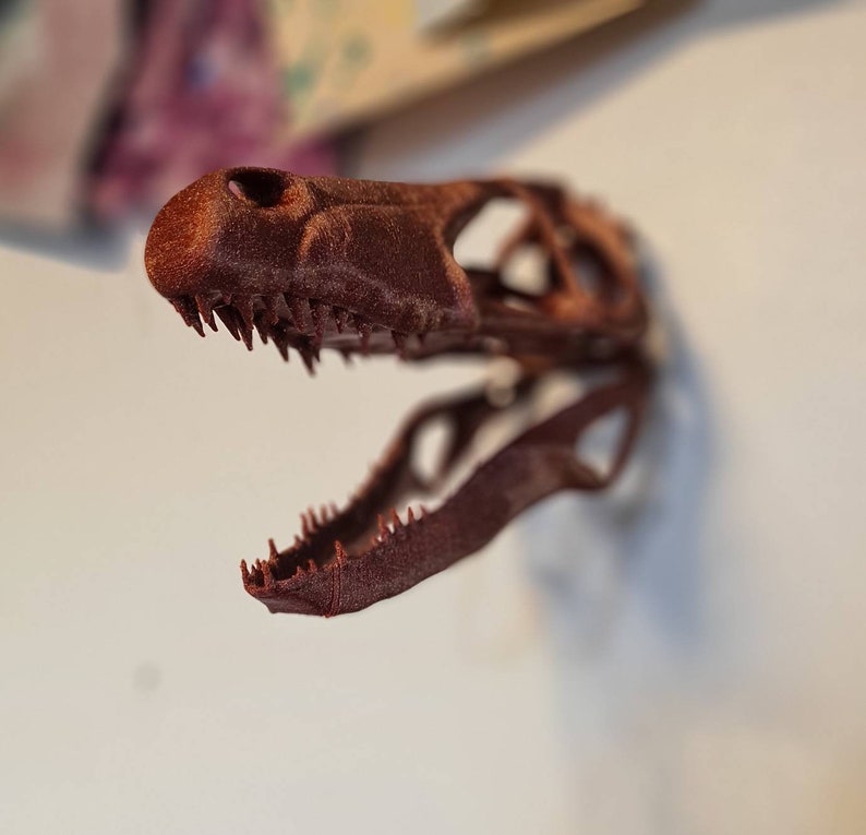 May include: A 3D printed dinosaur skull model in a reddish-brown color. The skull is open-mouthed, revealing rows of sharp teeth.