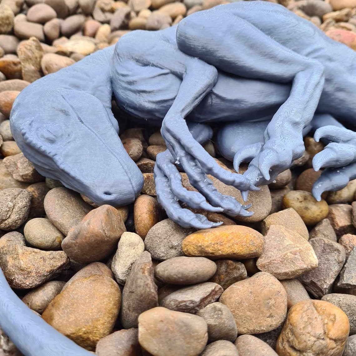 Sleeping Baby Velociraptor Art Dinosaur 3D Printed - Etsy