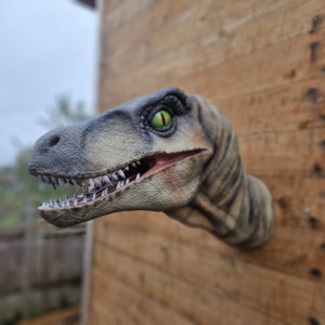 Velociraptor Art Raptor painted and airbrushed Dinosaur Wall Mount 3D Printed You choose the colours image 4