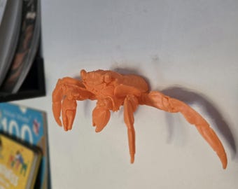 Décoration murale Sally Lightfoot Crab - Décorations d'intérieur - Impression 3D