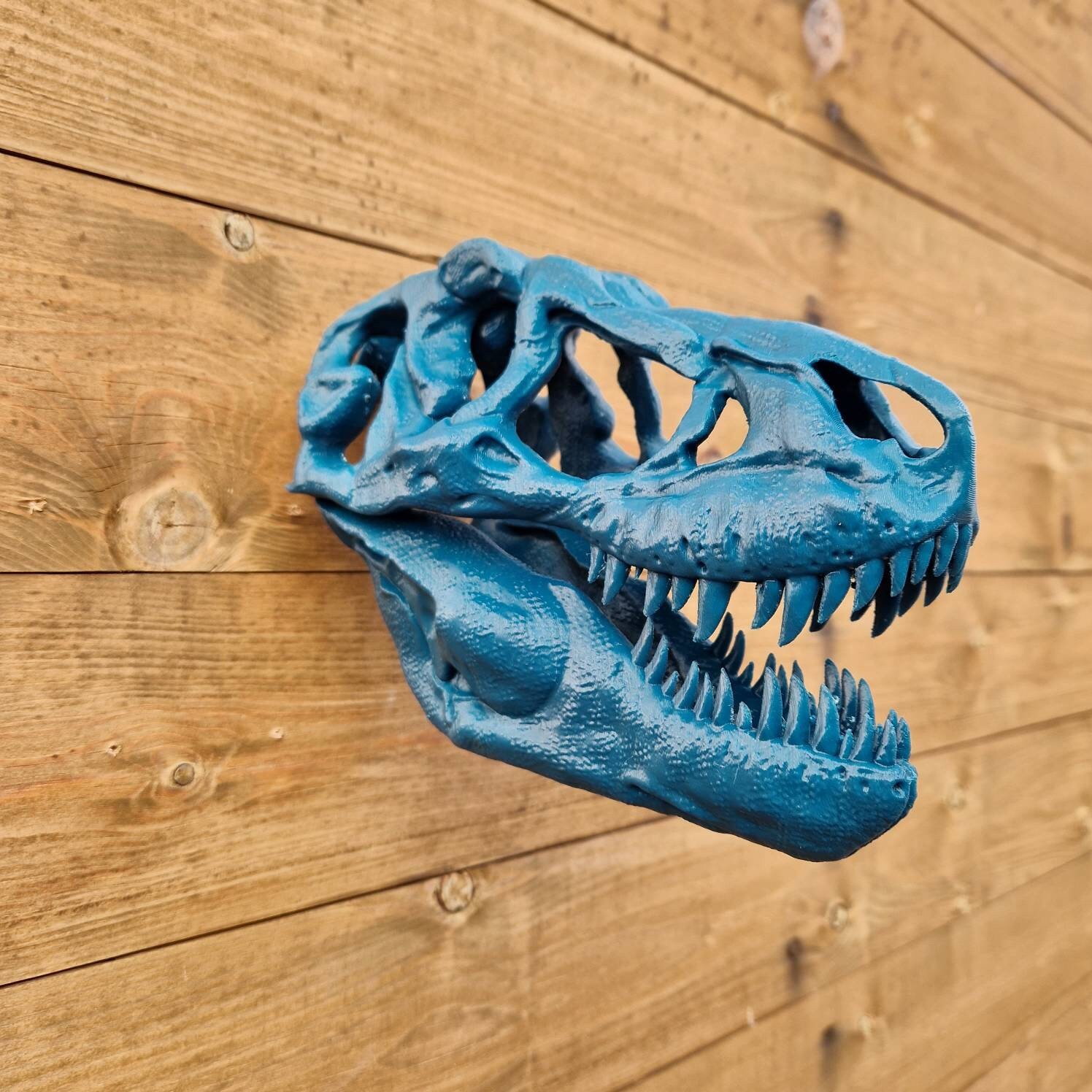 Tarbosaurus Skull Art T-rex Dinosaur Wall Mount 3D - Etsy