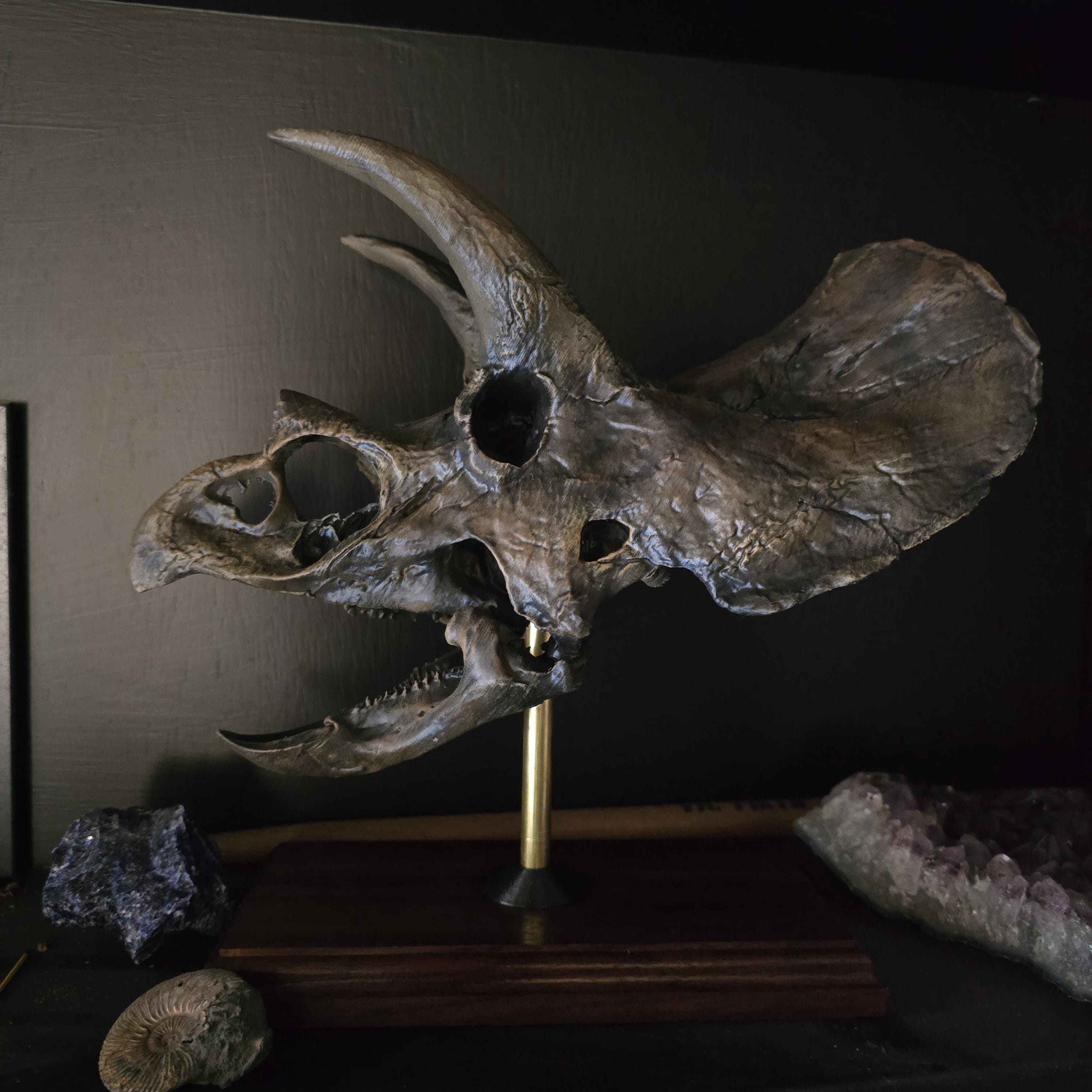 トリケラトプスの頭蓋骨レプリカ - 3Dプリントされた恐竜の化石アート