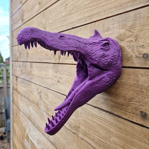 Baryonyx Head Wall Art - Dinosaur - Wall Mount- 3D Printed - Multiple Colours Available